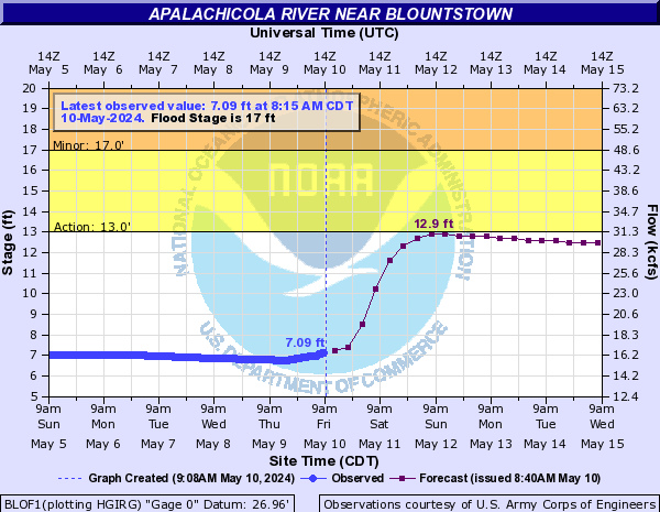 Apalachicola River near Blountstown