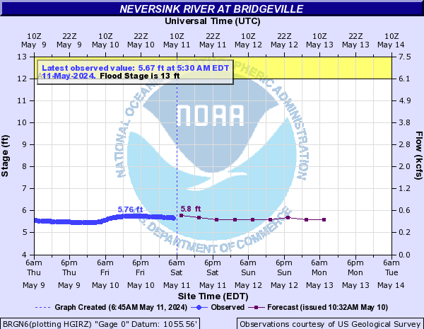 Neversink River at Bridgeville