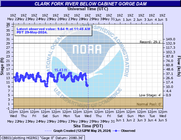 Clark Fork River below Cabinet Gorge Dam