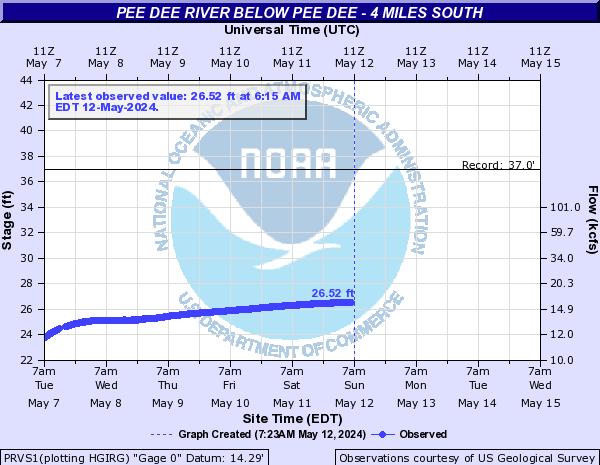 Pee Dee River below Pee Dee - 4 Miles South