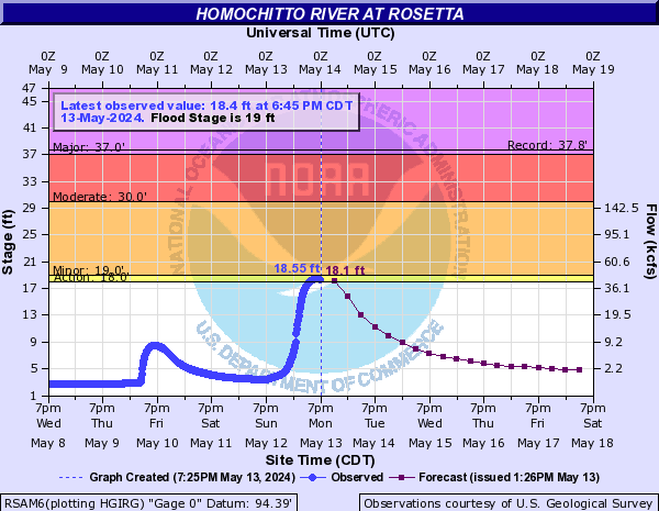 Homochitto River at Rosetta