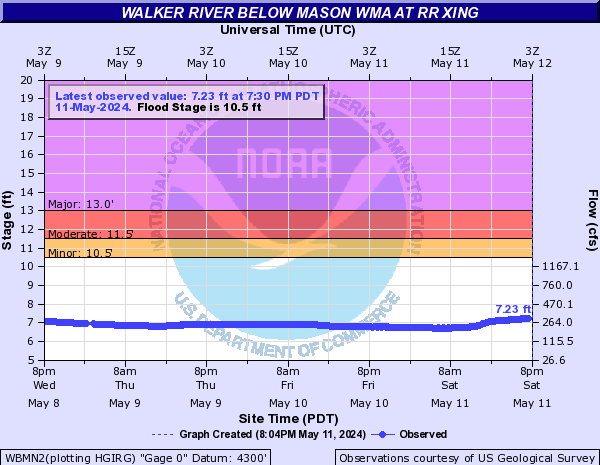 Walker River below Mason WMA at RR Xing