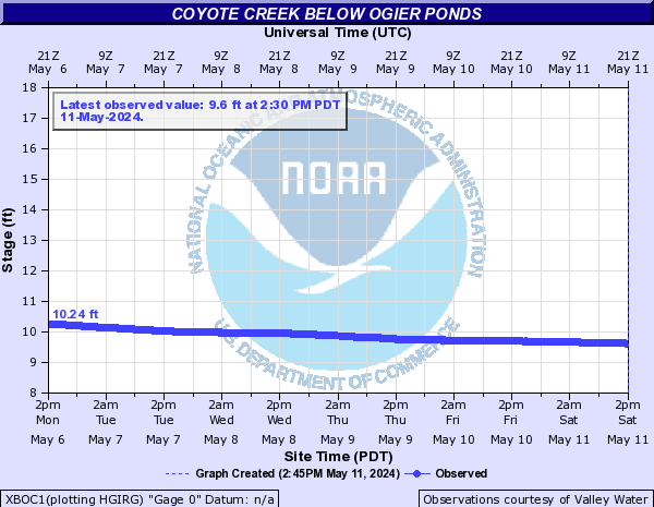 Coyote Creek below Ogier Ponds