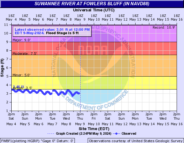 Live Suwannee River at Fowlers Bluff