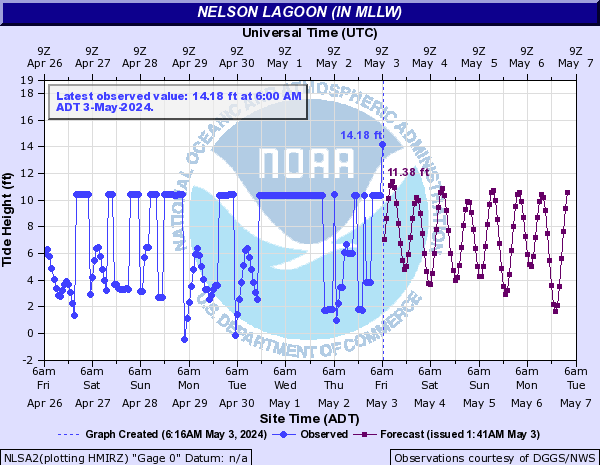 Nelson Lagoon at Tidal Gage